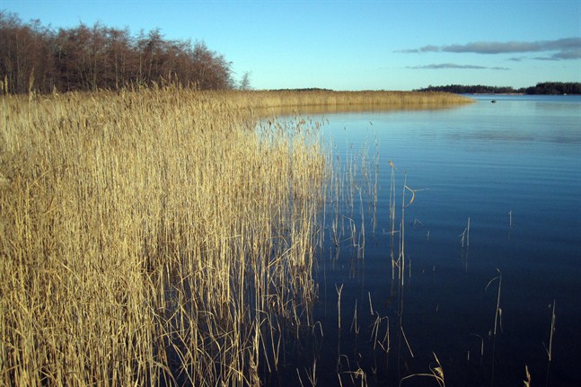 En vindstilla novemberdag med solsken längs stränderna.