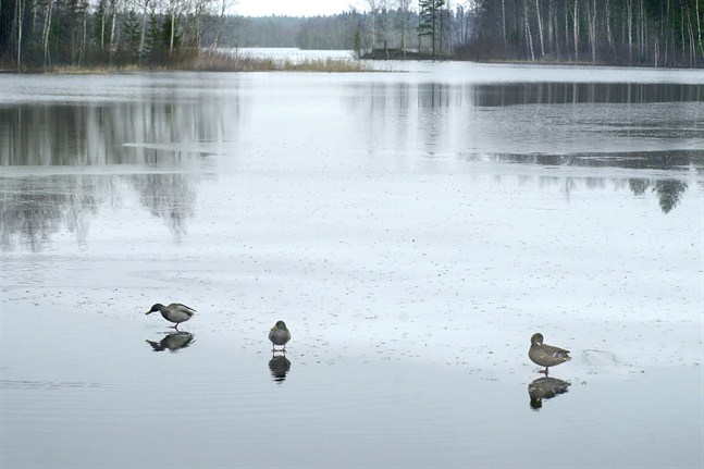 Infjärden.
