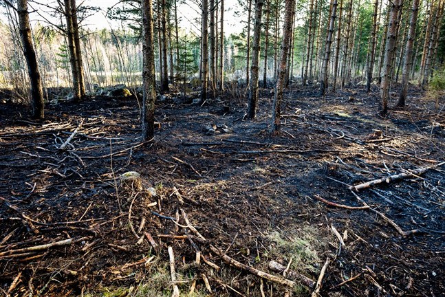 Det är inte första gången som det brinner vid Molnträsket i Vasa. Arkivbild från 2014.