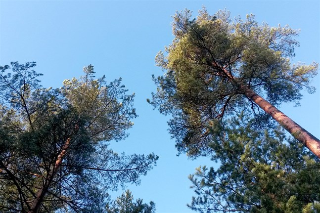 Nyhetsbild