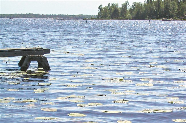 Rikedom är sånt som vi varje dag tar för givet, skriver Eva-Lott Björklund.