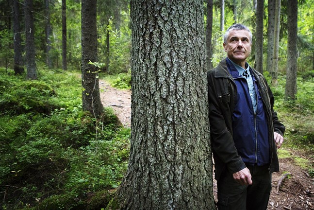 Mårten Lövdahl bedömer att EU:s nya krav är genomförbart och att finländsk skog inte tappar i värde.