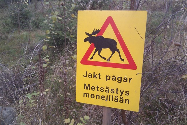 Nyhetsbild