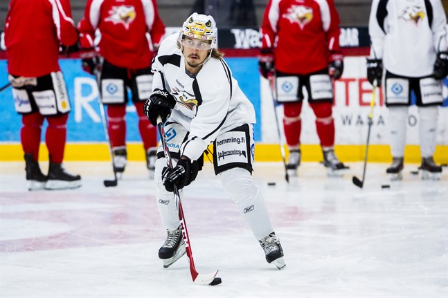 Niclas Lucenius återvänder till Sport för att ta en ledarroll i poängproduktionen.