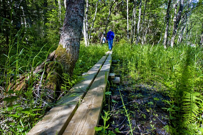 Iskmo-Jungsund vandringsled.