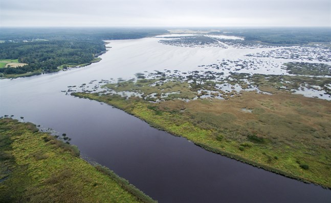 Det kanalliknande området är Kyrö älvs mynning. Ovanför det breder Vassorfjärden ut sig.