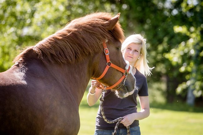 Jenni Rintala och Marjami siktar på att ta sig till FM för finnhästar.