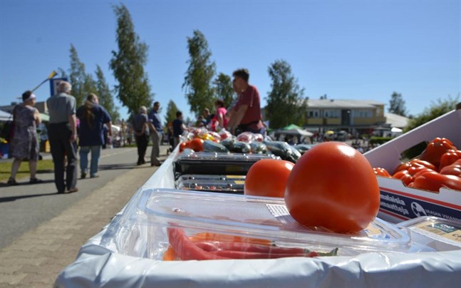 Tomatkarnevalen är den stora sommarfesten i Närpes.