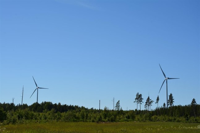 I dag är de två vindkraftverken i Harrström de enda som finns i Korsnäs kommun. Nu är det på nytt aktuellt med vindkraftsparker också i Korsnäs kyrkby och Molpe.