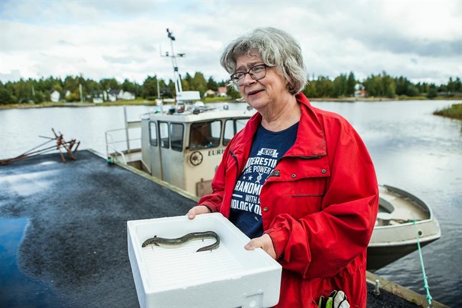 Birthe Wistbacka arbetar som verksamhetsledare för Norra Kust-Österbottens fiskeriområde.