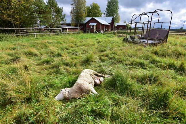 Nyhetsbild