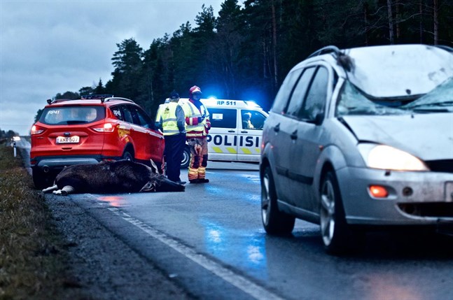 Arkivbild från en älgkrock i Vassor.