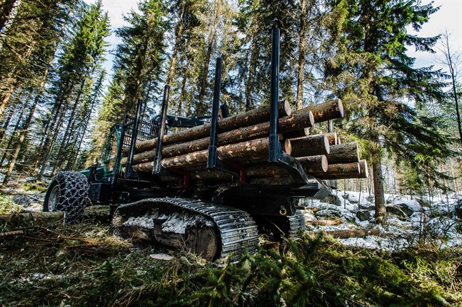 Vi kan överlåta skogsskötseln åt naturen allt mera, men då får vi mycket stora sociala och ekonomiska problem, skriver Anders Norrback.