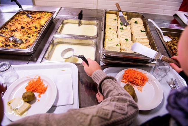 Det finns ett intresse för fler köttfria skoldagar, särskilt i Vasa och andra stadsområden. Men som helhet är Österbotten skeptisk. På bilden serveras gäddqueneller i Nykarleby.
