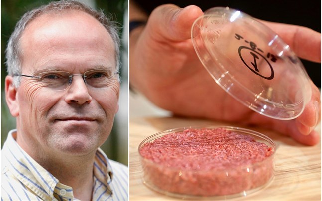 Att odla en hamburgerbiff tar ungefär 10 veckor, men det är enligt Mark Post inte en relevant siffra eftersom celldelning är en exponentiell process.