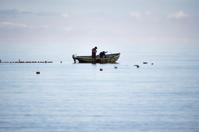 Fiskeri-, jordbruks- och miljöministrarna i de berörda medlemsländerna gick med i mitt upprop för att agera nu, skriver Virginijus Sinkevicius, EU-kommissionär med ansvar för miljö, hav och fiske. I måndags ordnades en Östersjökonferens på hög nivå på hans initiativ.