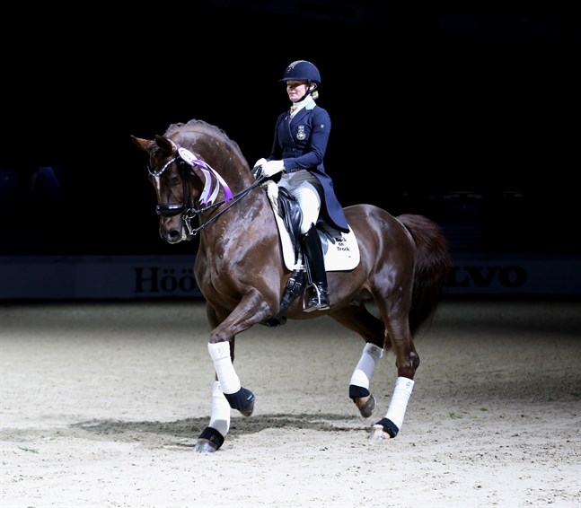 Duendecillo P och ryttaren Jeanna Högberg på Göteborg Horse Show