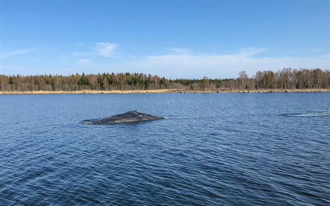 Nyhetsbild