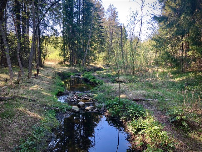 Nyhetsbild