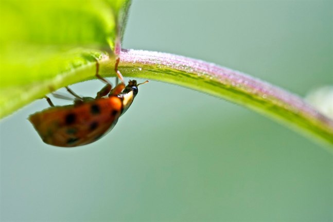 Nyhetsbild