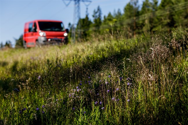 Vägkanterna röjs två gånger på sommaren längs de mest livligt trafikerade vägarna. Den första slåttern görs enligt nuvarande anvisningar med smal omfattning. Det hjälper arterna att förnyas.