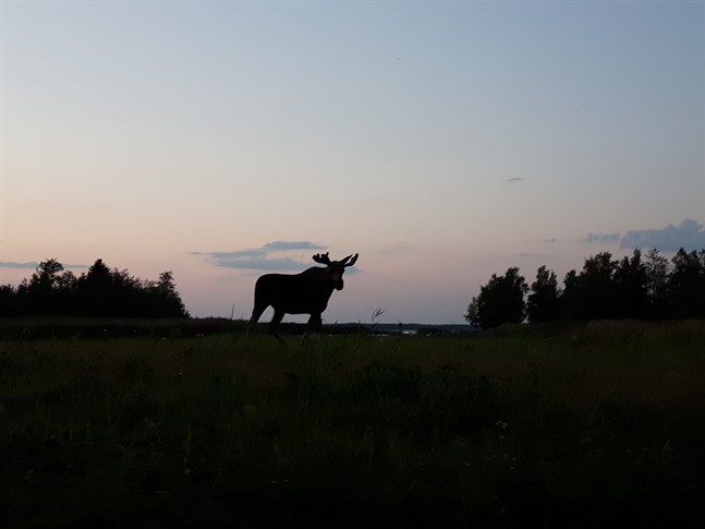 Nyhetsbild