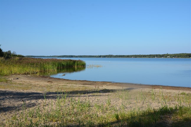 Just nu är det förbjudet att bada vid simstranden i Töjby på grund av förhöjda halter av e-kolibakterier.