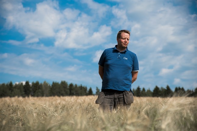 Ola Sandberg, ordförande för ÖSP i Esse, deltog inte själv i hösten auktion av arrendeåkrar. Men han har deltagit tidigare år.