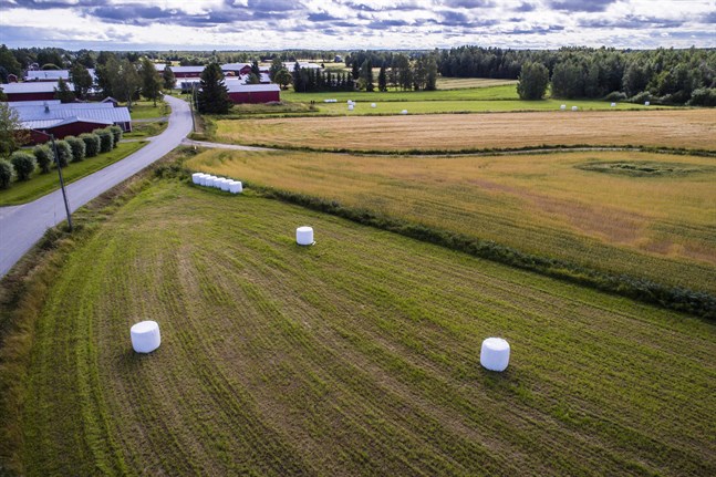 Centraliseringen skapar ett uppifrån-ner-perspektiv i planerade reformer. Landsbygdens problem är de långa avstånden (och den otillräckliga kollektivtrafiken) och att den är relativt glest befolkad, skriver Kerstin Berg i en insändare.