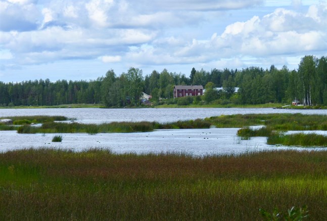 Nyhetsbild