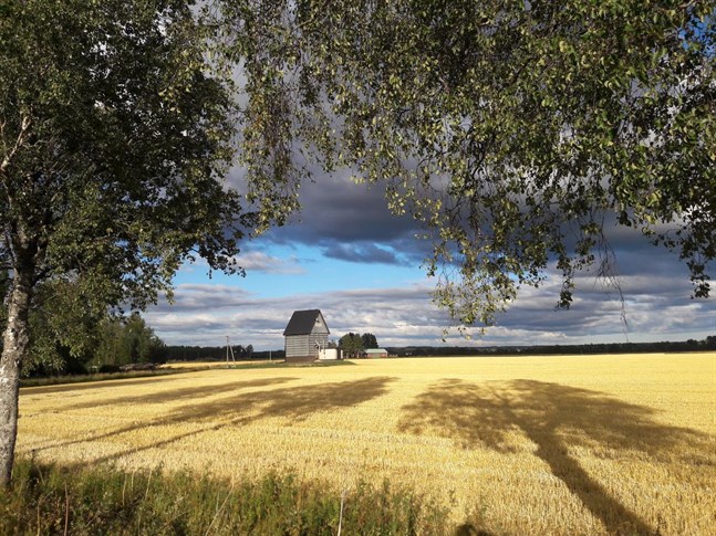 Nyhetsbild