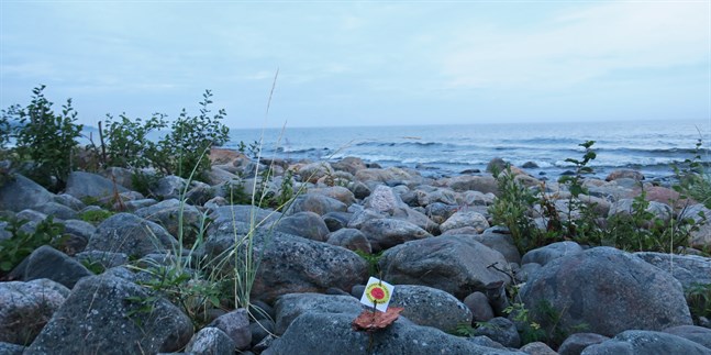 Nyhetsbild