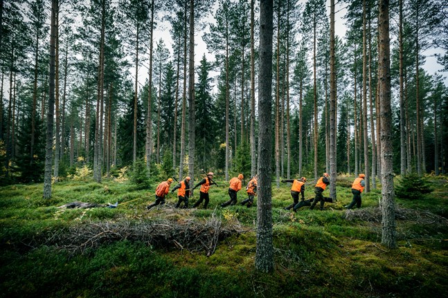 Arkivbild från Övermalax älgjaktlag i Malax skärgård.