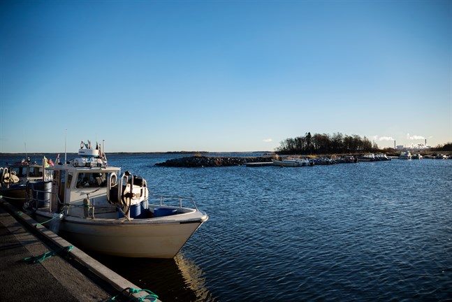 Fiskebåtarna blir allt färre vid Ådön, medan antalet fritidsbåtar ökar.