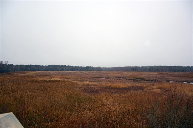 Nyhetsbild
