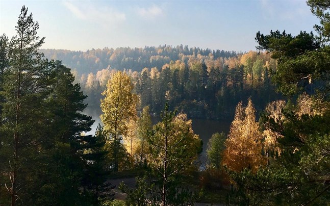 Skog.