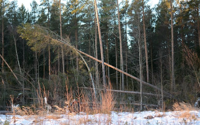 Nyhetsbild