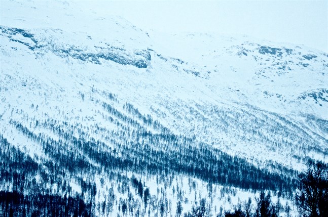 Nyhetsbild