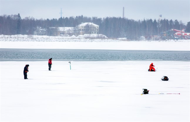 All fisk ska få leka fritt i Södra Stadsfjärden i Vasa från den 20 april till den 20 maj. Under den här perioden råder förbud mot fiske.