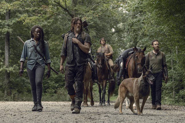 Danai Gurira, Norman Reedus, Ross Marquand, Josh McDermitt och en vovve i "The walking dead". Pressbild.