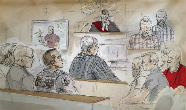En illustration från rättegången mot den kanadensiske trädgårdsmästaren Bruce McArthur.