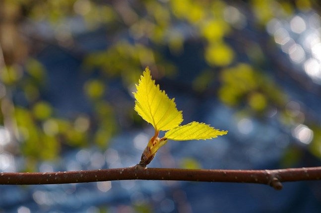 Nyhetsbild