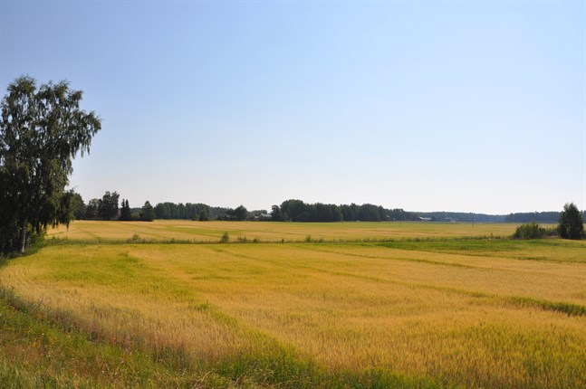 Nyhetsbild