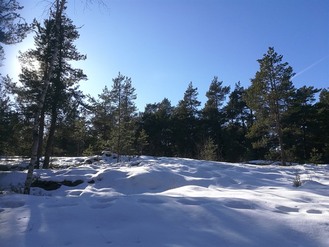 Nyhetsbild