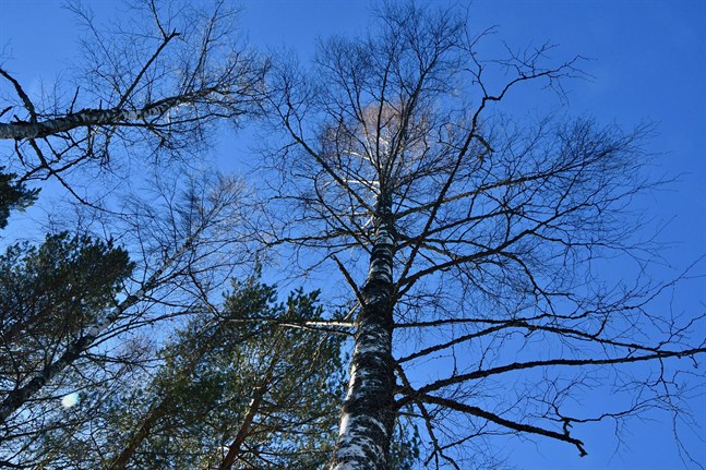 Nyhetsbild