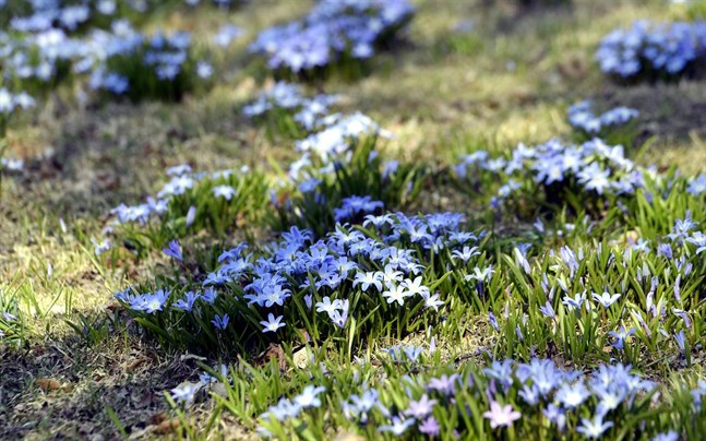 Nyhetsbild