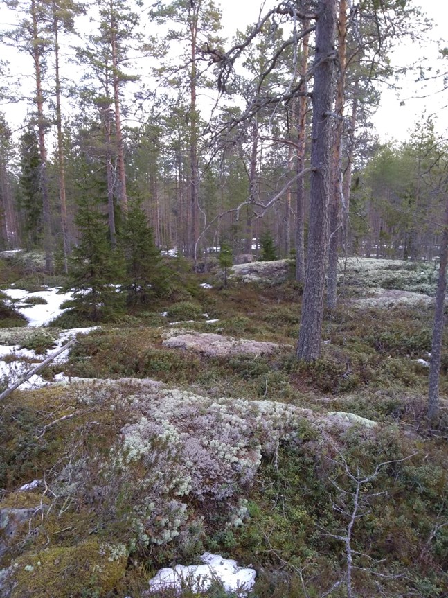 Nyhetsbild