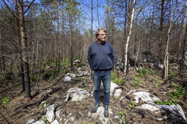 Johan Nynäs från Korsnäs blickar ut över sin skog som brann för ett år sedan. Han hade tur i oturen och inte mer än 3000 kvadratmeter av hans skog brann, vilket inte innebar någon enorm ekonomisk förlust för honom.