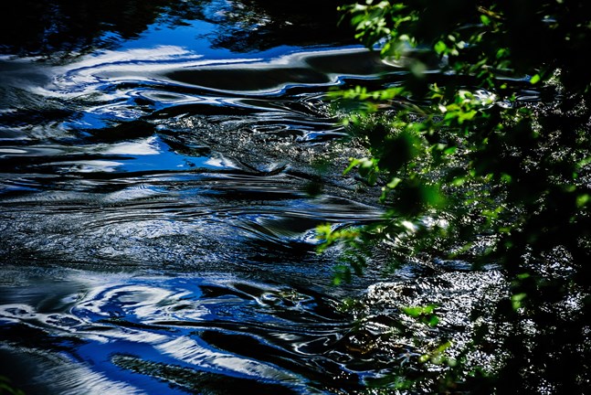 Meningen med projektet är att utreda möjligheten till en naturenlig fiskeväg och reproduktionsområden för laxfiskar i Esse å.