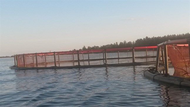 Nyhetsbild